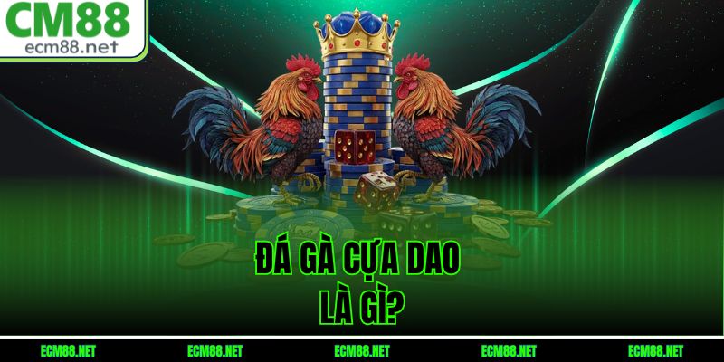 Đá Gà Cựa Dao Là Gì?