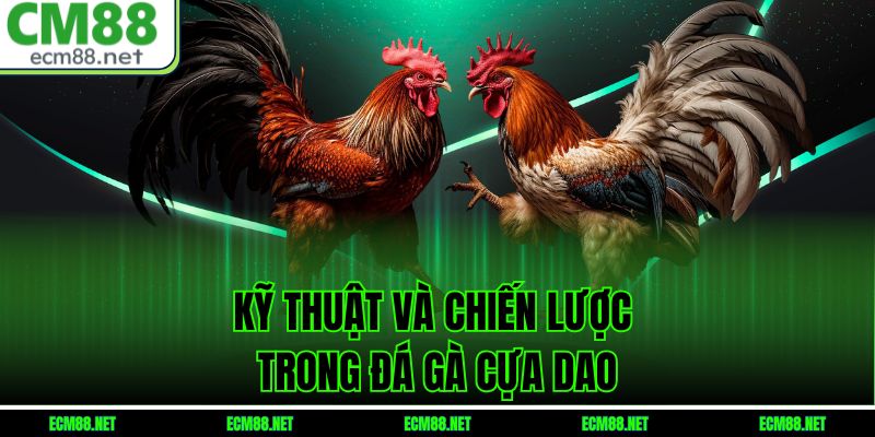 Kỹ Thuật Và Chiến Lược Trong Đá Gà Cựa Dao